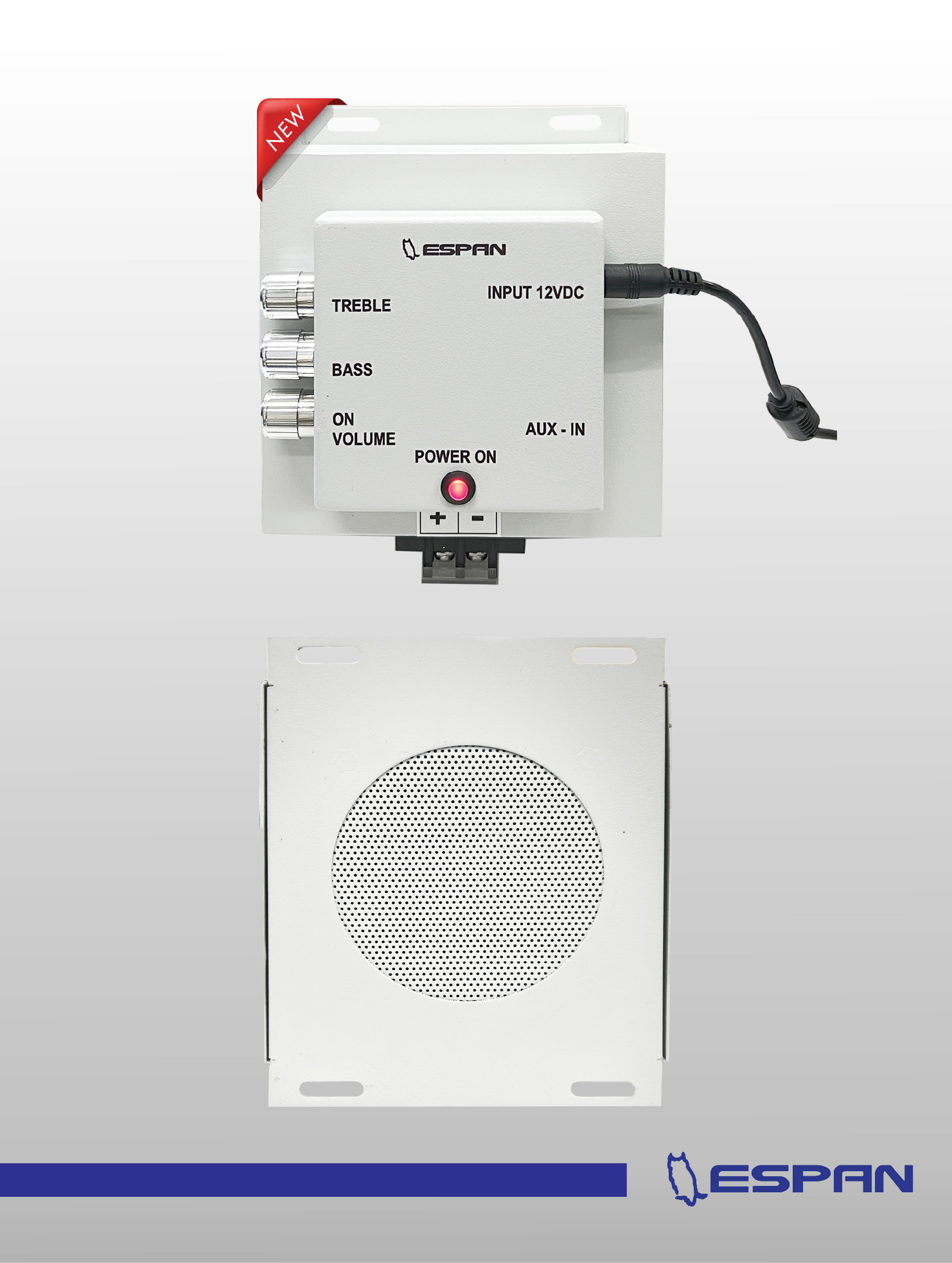 Product ESPAN_Speaker Amplifier (SKA)